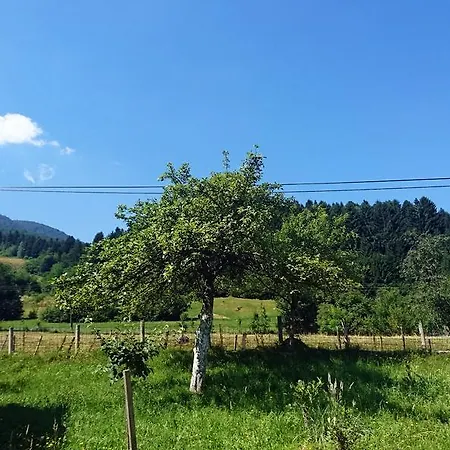 بيت للعطل Bosnian Holiday